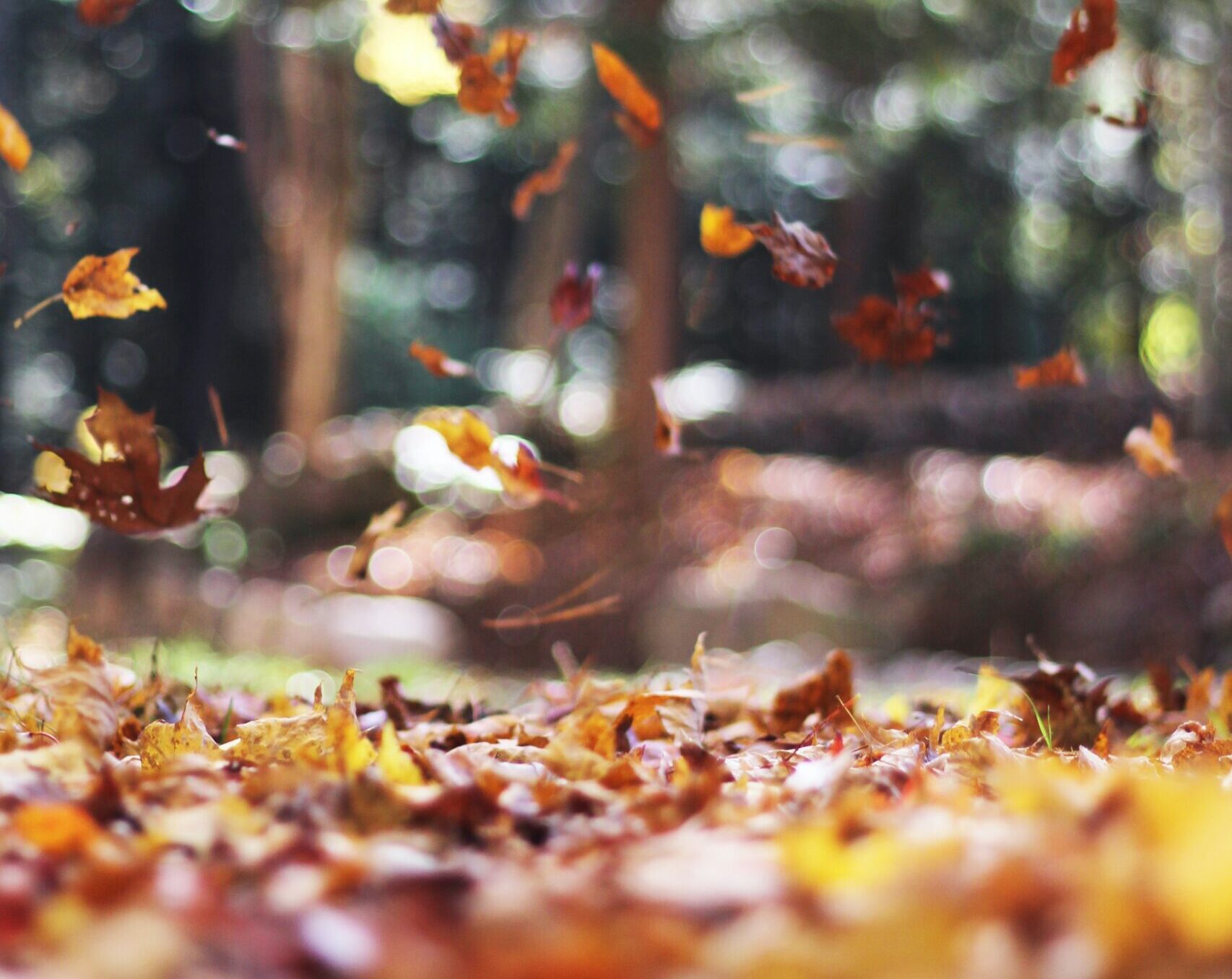 Seasonal Safety Tips - Retailers Insurance Company